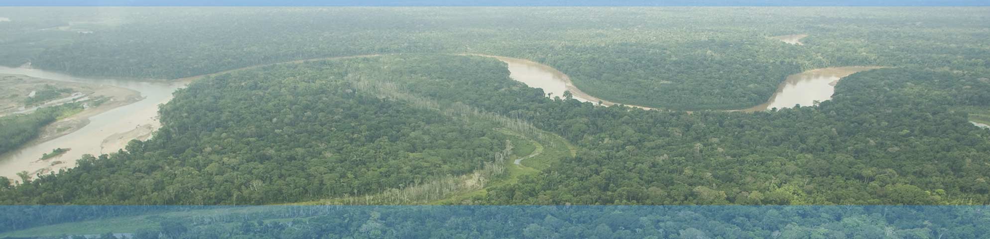 Manu National Park - Enrique Castro - Mendívil