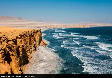 Reserva de Paracas - Marco Garro