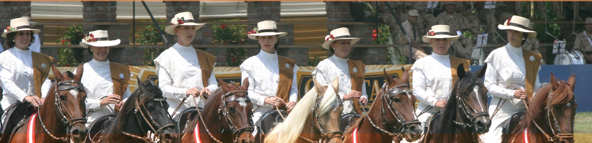 Caballos de Paso - Daniel Silva